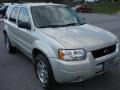 2003 Gold Ash Metallic Ford Escape Limited 4WD  photo #3