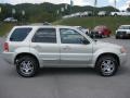 2003 Gold Ash Metallic Ford Escape Limited 4WD  photo #4