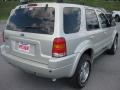 2003 Gold Ash Metallic Ford Escape Limited 4WD  photo #5