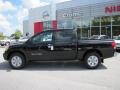 Galaxy Black - Titan S Crew Cab Photo No. 2