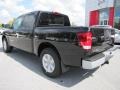Galaxy Black - Titan S Crew Cab Photo No. 3
