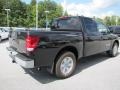 Galaxy Black - Titan S Crew Cab Photo No. 6