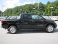Galaxy Black - Titan S Crew Cab Photo No. 7