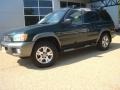 2001 Sherwood Green Pearl Nissan Pathfinder SE  photo #2