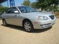 Sterling Silver - Elantra GLS Sedan Photo No. 6