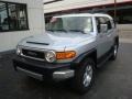 Titanium Metallic - FJ Cruiser 4WD Photo No. 11