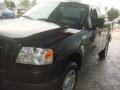 Black - F150 XL Regular Cab Photo No. 5