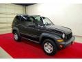 Black - Liberty Sport 4x4 Photo No. 1