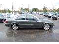 Flint Grey Metallic - E 350 Sedan Photo No. 15