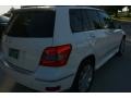 2010 Arctic White Mercedes-Benz GLK 350  photo #10