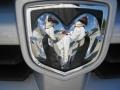 2010 Bright Silver Metallic Dodge Grand Caravan SE Hero  photo #25