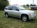 2007 Liquid Silver Metallic GMC Envoy SLT 4x4  photo #6