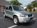 2006 Titanium Green Metallic Ford Escape Hybrid 4WD  photo #2