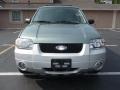 2006 Titanium Green Metallic Ford Escape Hybrid 4WD  photo #7