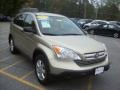 2007 Borrego Beige Metallic Honda CR-V EX 4WD  photo #1