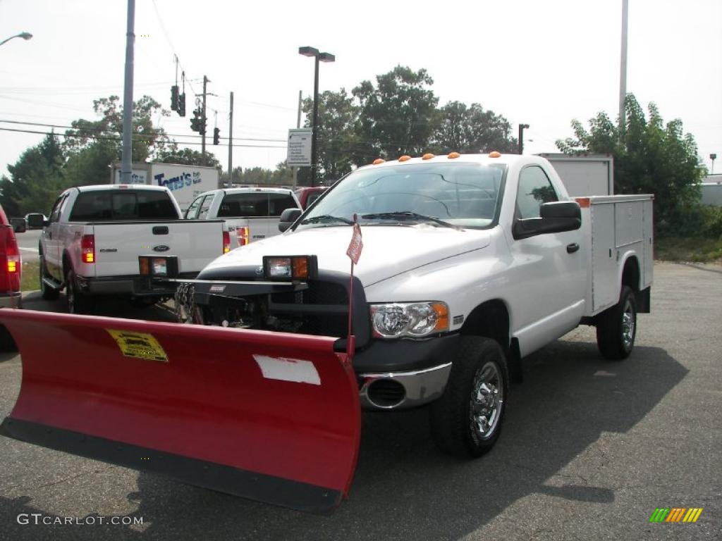 2003 Ram 2500 ST Regular Cab 4x4 - Bright White / Taupe photo #1