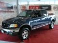 Charcoal Blue Metallic 2002 Ford F150 Gallery