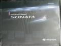 2010 Slate Blue Hyundai Sonata GLS  photo #10
