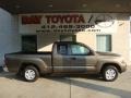 2011 Pyrite Mica Toyota Tacoma SR5 Access Cab  photo #1