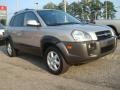 Sahara Silver - Tucson GLS V6 Photo No. 7