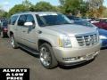 2008 Quicksilver Cadillac Escalade ESV AWD  photo #1