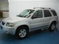 2005 Silver Metallic Ford Escape Hybrid 4WD  photo #1