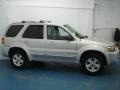 2005 Silver Metallic Ford Escape Hybrid 4WD  photo #5