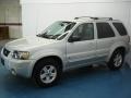 2005 Silver Metallic Ford Escape Hybrid 4WD  photo #6