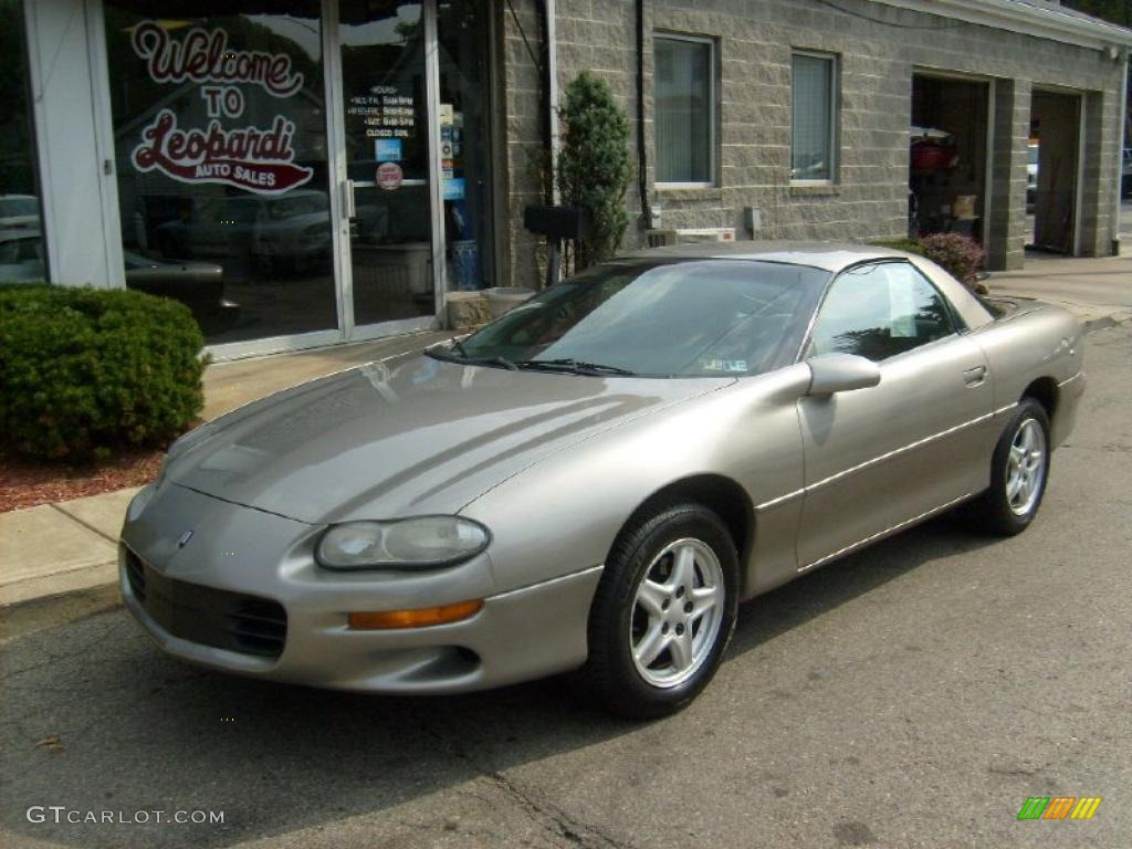 Light Pewter Metallic Chevrolet Camaro