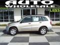 Savannah Beige Metallic - RAV4  Photo No. 1
