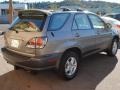 2002 Mineral Green Opalescent Lexus RX 300 AWD  photo #7