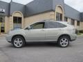 2008 Bamboo Pearl Lexus RX 400h Hybrid  photo #4