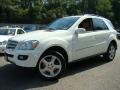 Arctic White - ML 350 4Matic Photo No. 1