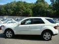 Arctic White - ML 350 4Matic Photo No. 4