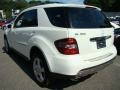 Arctic White - ML 350 4Matic Photo No. 5