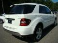 Arctic White - ML 350 4Matic Photo No. 6