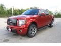 2010 Red Candy Metallic Ford F150 FX2 SuperCrew  photo #8