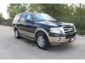 Tuxedo Black Metallic - Expedition XLT Photo No. 1