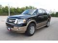 Tuxedo Black Metallic - Expedition XLT Photo No. 8