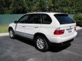 Alpine White - X5 3.0i Photo No. 11