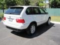 Alpine White - X5 3.0i Photo No. 12