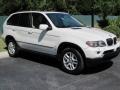Alpine White - X5 3.0i Photo No. 16