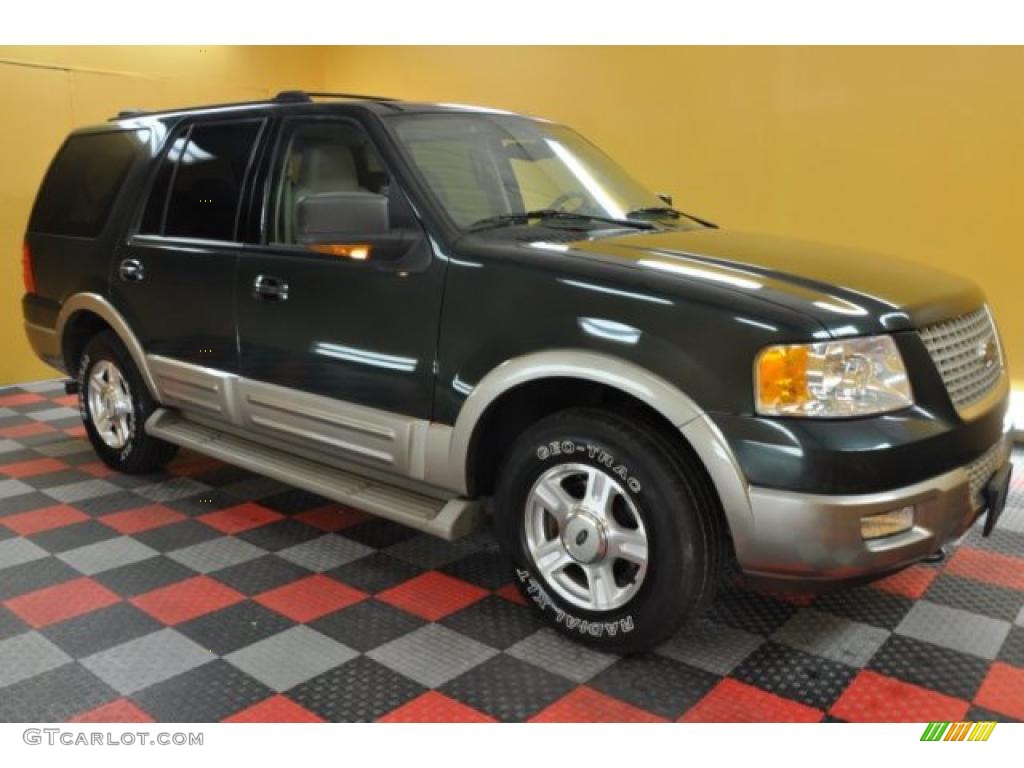2003 Expedition Eddie Bauer 4x4 - Aspen Green Metallic / Medium Parchment photo #1