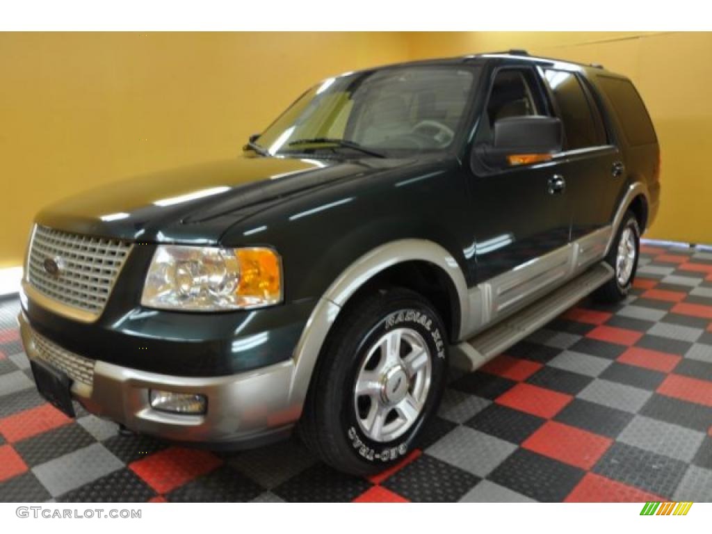 2003 Expedition Eddie Bauer 4x4 - Aspen Green Metallic / Medium Parchment photo #3
