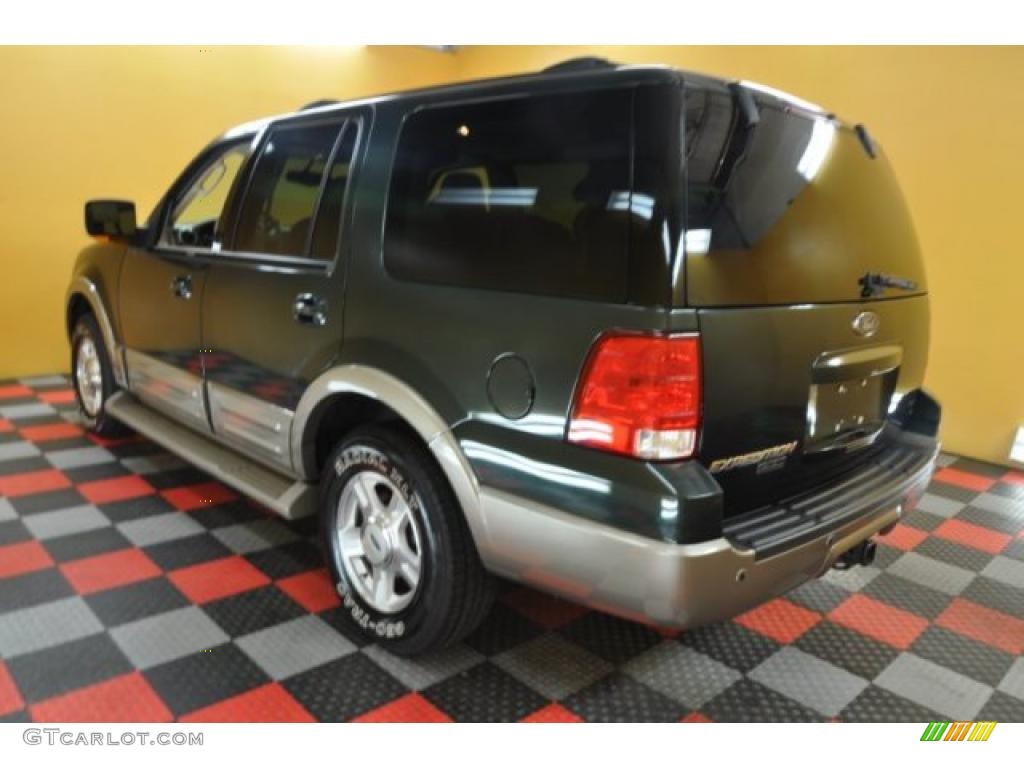 2003 Expedition Eddie Bauer 4x4 - Aspen Green Metallic / Medium Parchment photo #4
