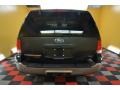 2003 Aspen Green Metallic Ford Expedition Eddie Bauer 4x4  photo #5