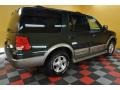 2003 Aspen Green Metallic Ford Expedition Eddie Bauer 4x4  photo #6