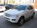 Arctic White - ML 350 4Matic Photo No. 9
