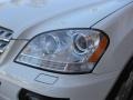 Arctic White - ML 350 4Matic Photo No. 27