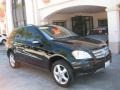 Black - ML 350 4Matic Photo No. 1